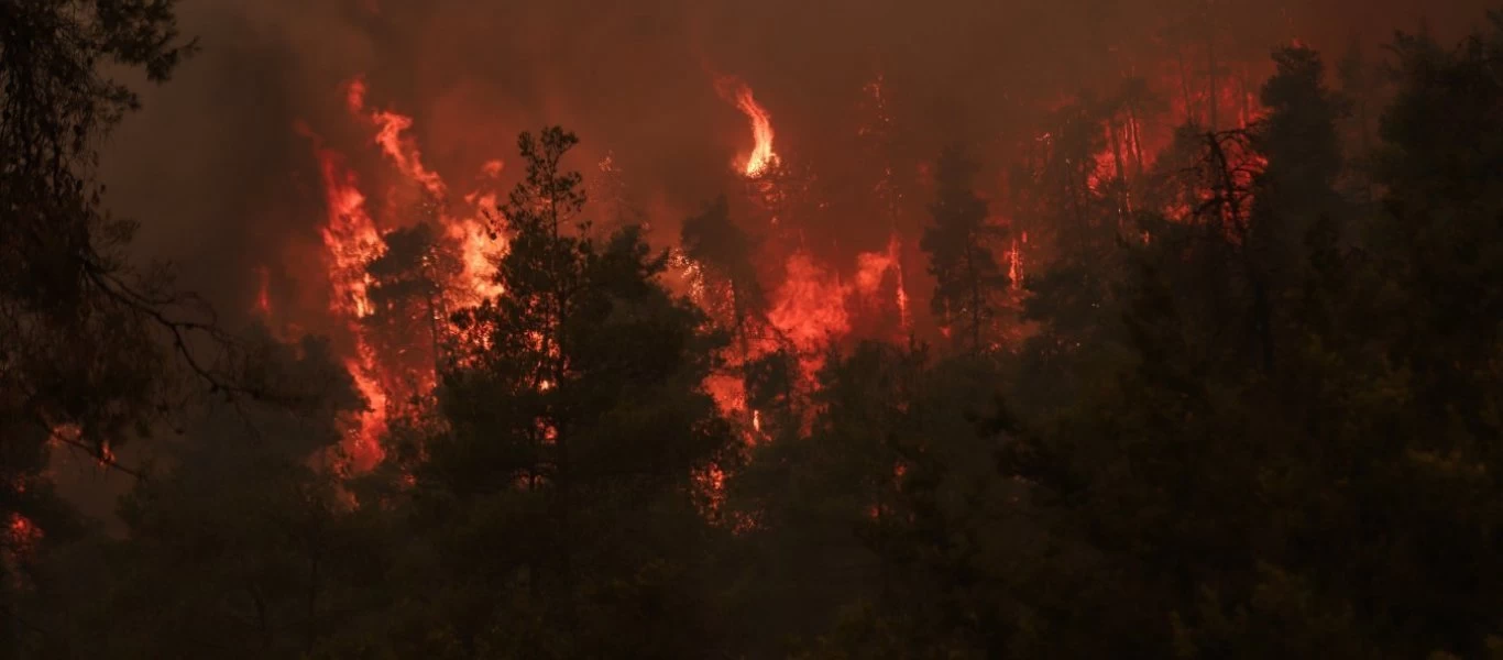Φωτιά στην Εύβοια: «Δεν επιχειρούν εναέρια μέσα» καταγγέλλει ο περιφερειάρχης Στερεάς Ελλάδας